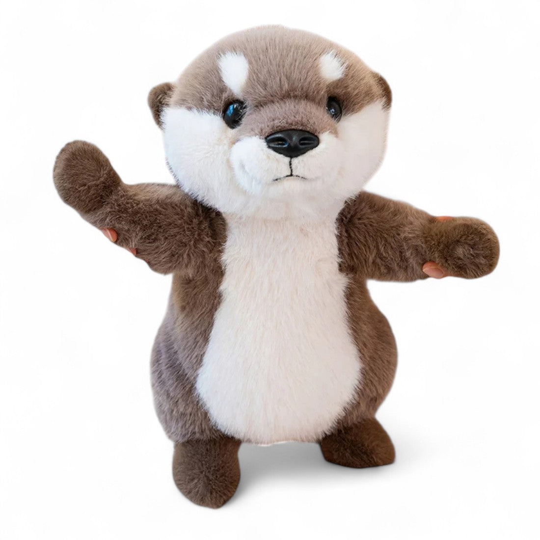 Lontra di peluche tenerissima