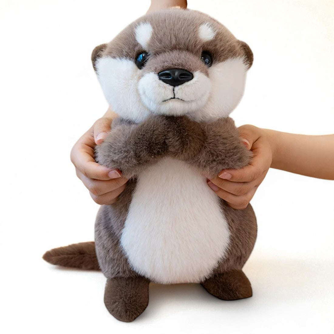 Lontra di peluche tenerissima