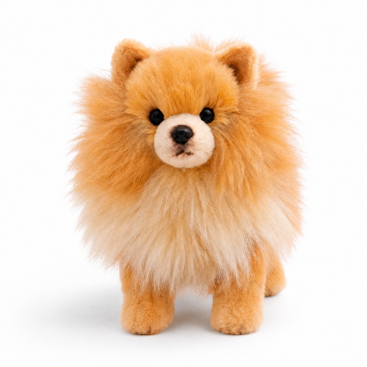 Peluche Cane Realistico Spitz Fulvo a Pelo Lungo - Sfondo bianco frontale