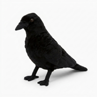 Peluche Corvo Nero Realistico - Sfondo bianco angolato