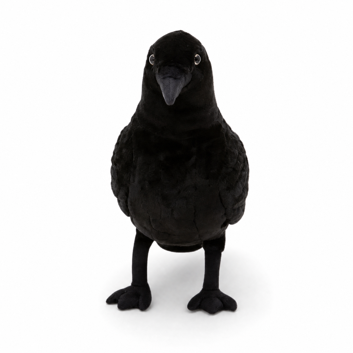 Peluche Corvo Nero Realistico - Sfondo bianco frontale